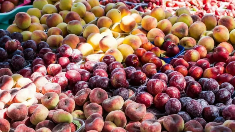 11) Local Markets(1)