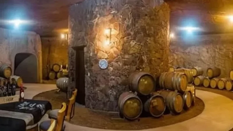 11) Local Vineyards(2)