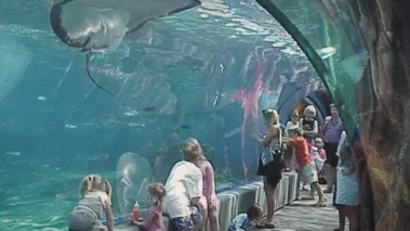 11) Maui Ocean Center(2)