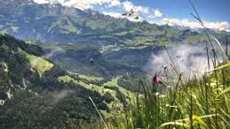 11 Mountain Meadows(12)