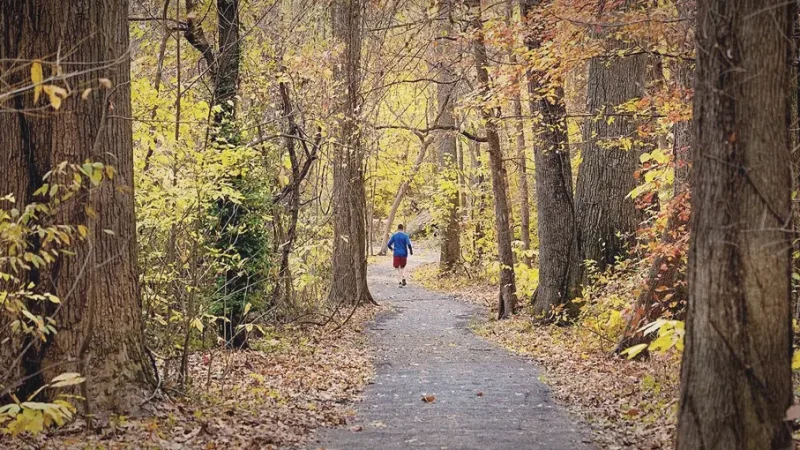 11) Overton Park(5)