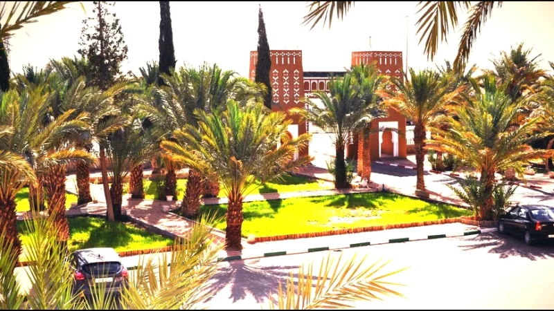 11) Palm Grove Walks(1)