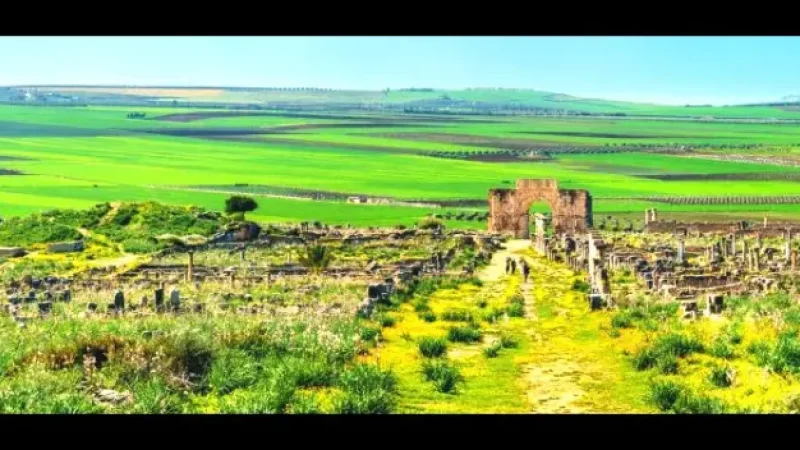 11) Photography Lookouts(3)