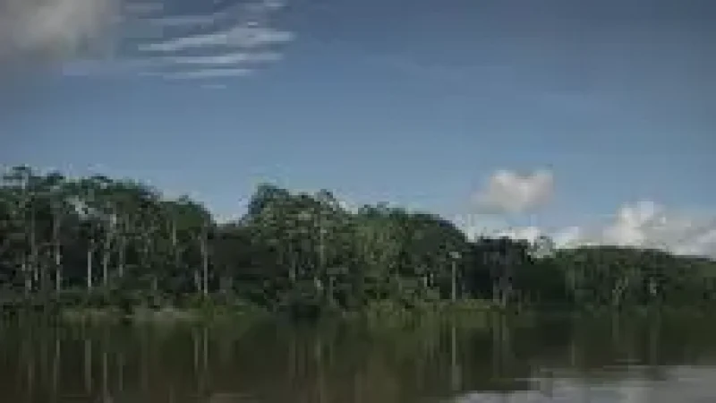 11 Photography Zones ‒ Rainforest scenery(1)