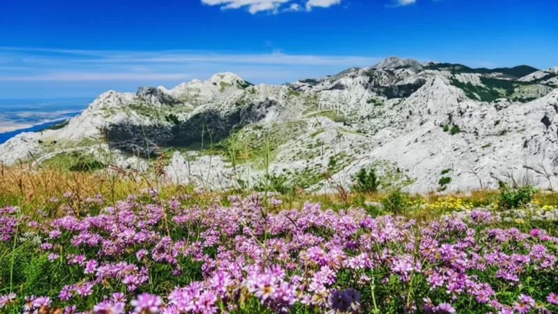 11) Quiet Rest Areas(2)