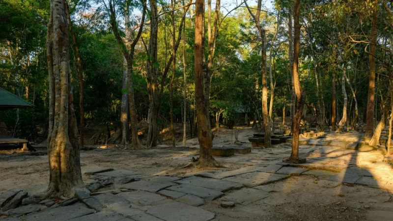 11 Quiet Walking Paths – Low-crowd exploration(5)