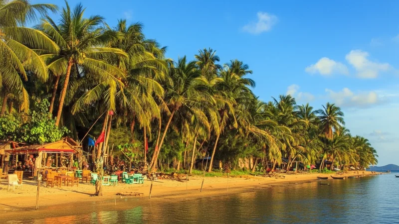 11 Shaded Tree Groves – Relaxation spots(4)