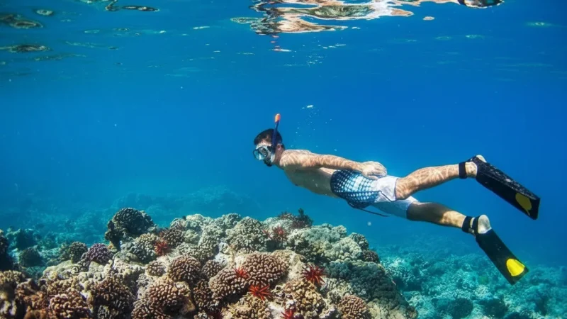 11) Snorkeling Areas(1)