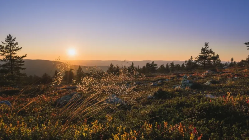 11 Summer Hiking Routes ‒ Fell walking trails(5)