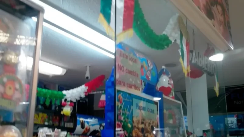 11) Traditional Sweet Shops(2)