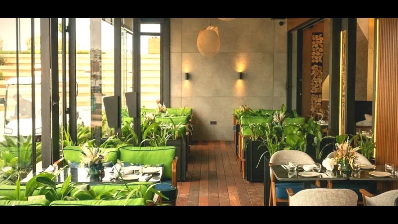 11) Traditional Tea Cafés(6)