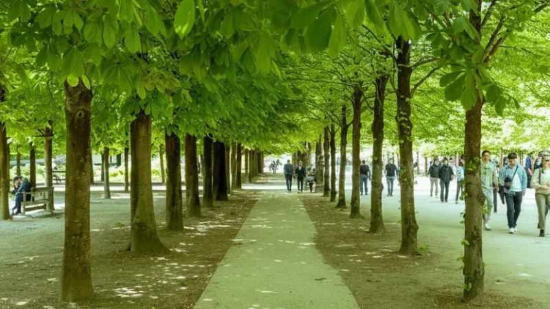 11) Walking Routes(5)