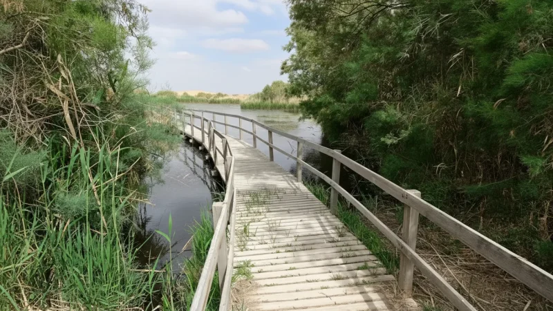 11) Walking Trails(6)
