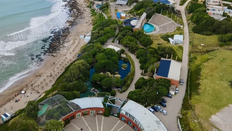 11. Aquarium Mar del Plata – Marine life exhibits(1)