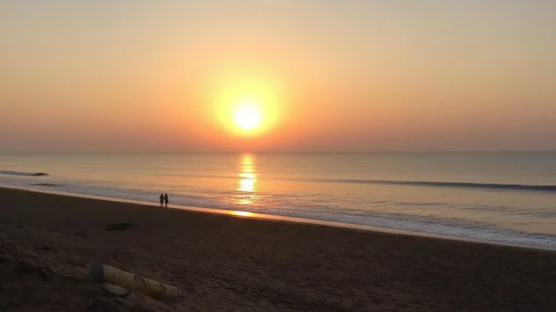 11. Baliharachandi Beach – A quiet coastal spot_(2)