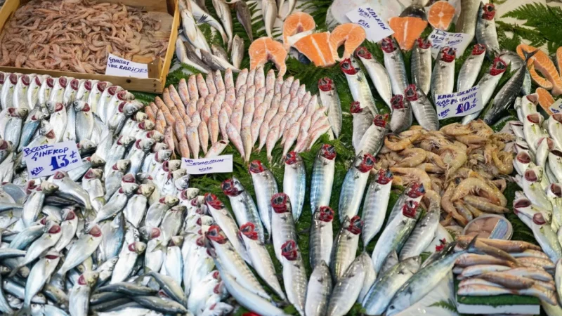 11. Be■ikta■ Fish Market(5)