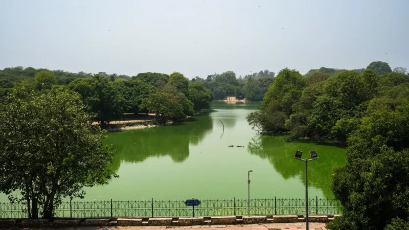 11. Deer Park – Urban park with open green areas_(6)