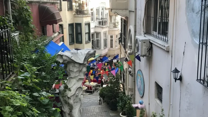 11. French Street(2)