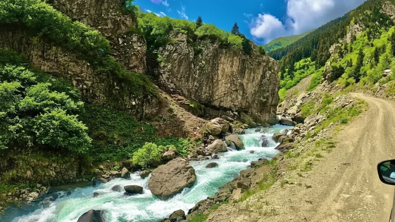 11. Galyan River – Forest river scenery_(3)