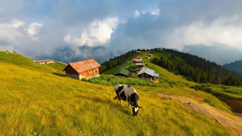 11. Hazindak Plateau – Summer pasture views_(2)
