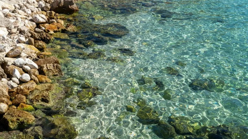 11. Karg■cak Beach(1)