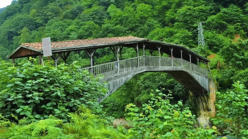 11. Lake Walking Path – Simple walking trail_(3)