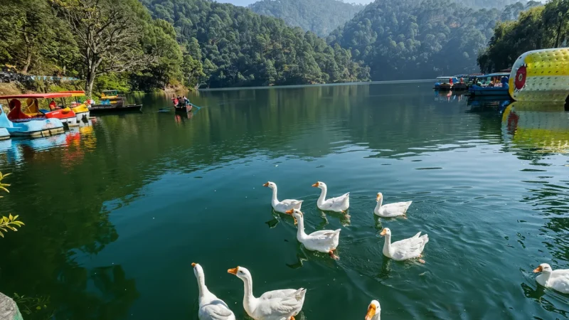 11. Naukuchiatal – A tranquil nine-cornered lake_(3)