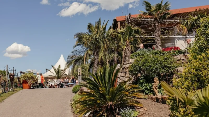 11. Weingut Bayer Vineyard Trails(3)