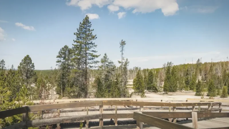 11_Norris_Geyser_Basin(2)
