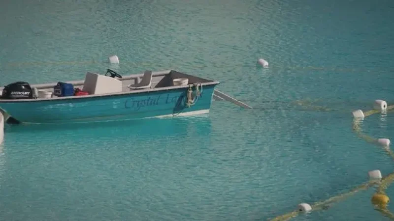 11_Small_Boat_Area(2)