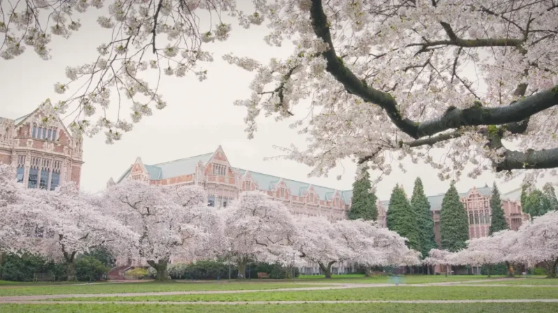 11_University_of_Washington_Campus(6)