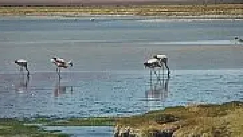 11_Viewing_Platforms(2)