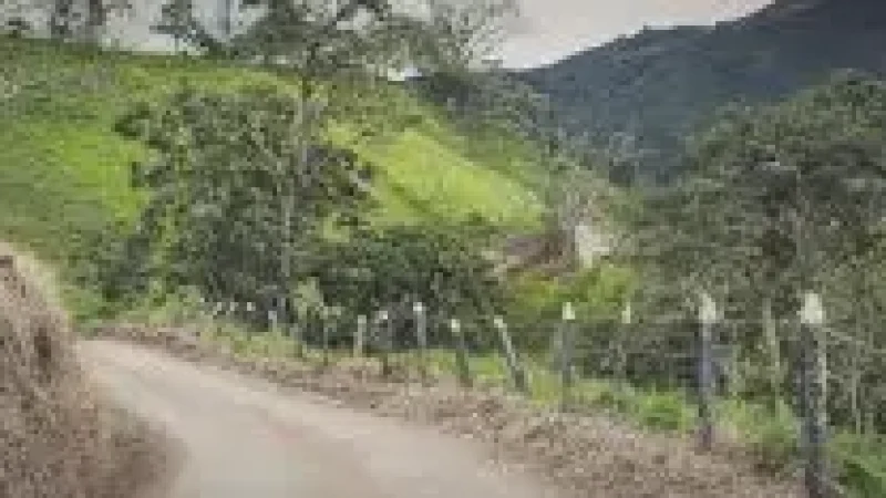 12 12 Scenic Access Roads ‒ Mountain drives(4)