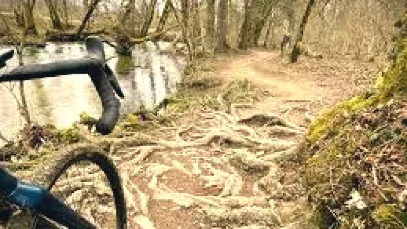 12 12. Cycling Paths(3)