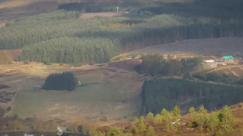 12) Abriachan Forest Trails(6)