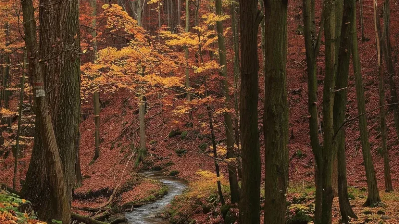 12) Apátkúti Valley(1)