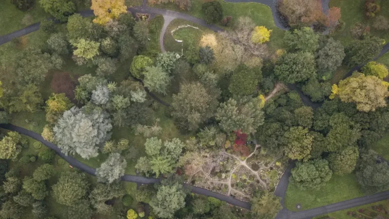 12) Arboretum Park(5)