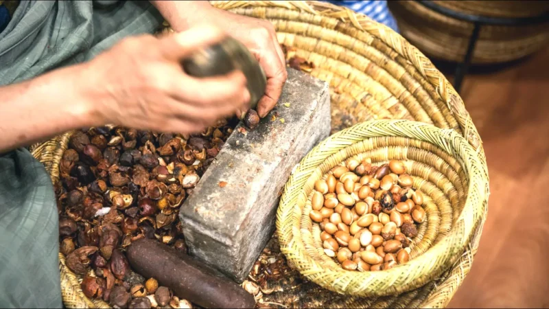 12) Argan Oil Cooperatives(4)