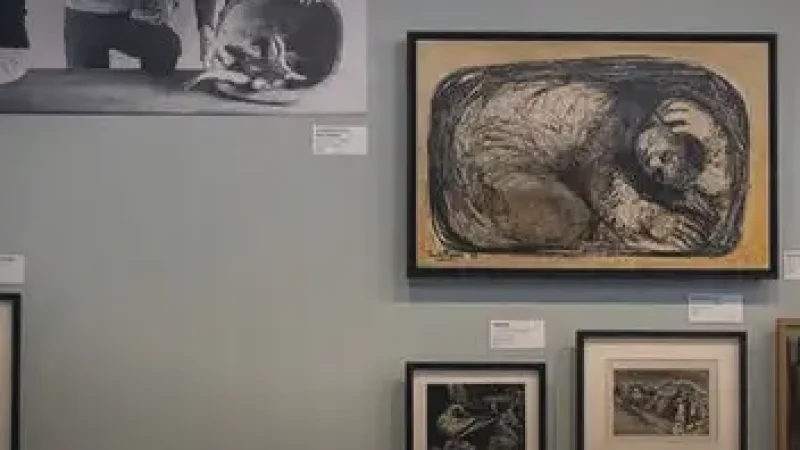 12 Art Galleries – Local exhibitions_(1)