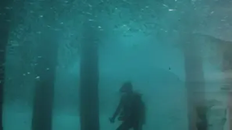 12) Batu Tokong Dive Site(2)