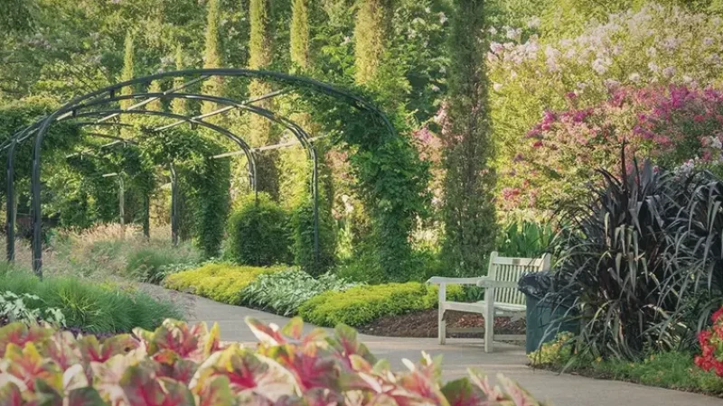 12) Cheekwood Estate & Gardens(1)