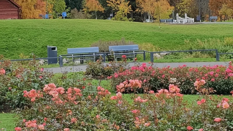 12 City Parks – Relaxation areas(5)