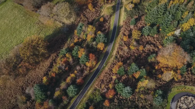 12) Cwmcarn Forest Drive(1)