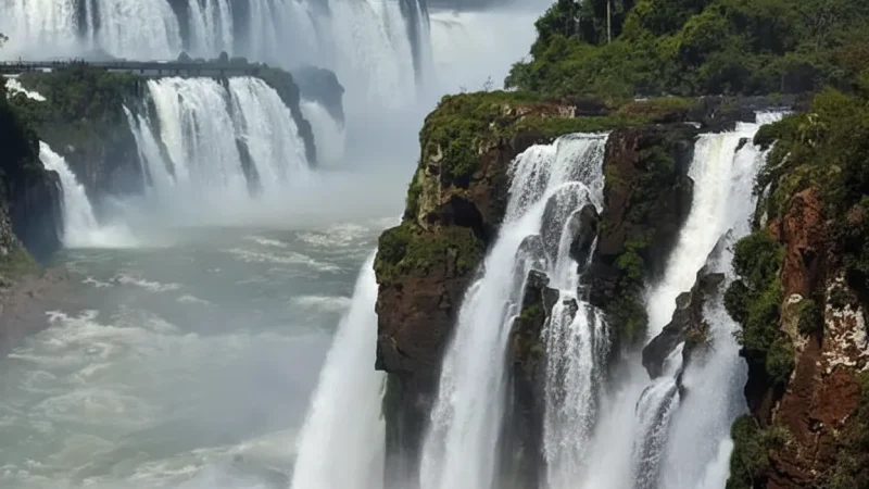 12 Educational Exhibits – Nature information(6)