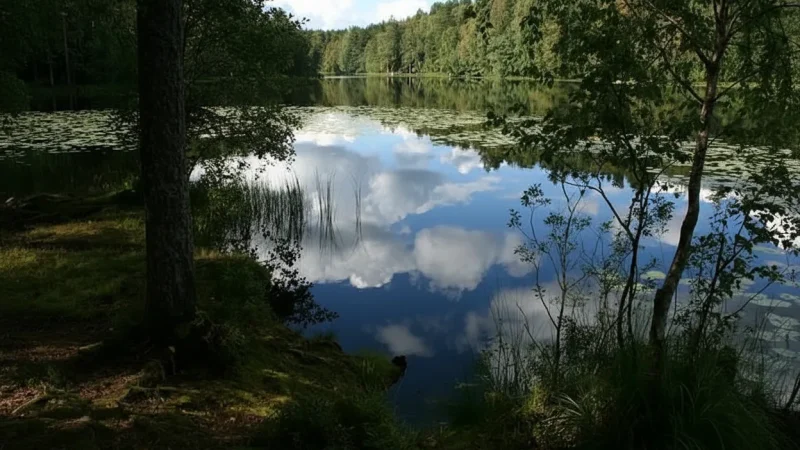 12 Educational Nature Paths ‒ Informative signposted walks(2)