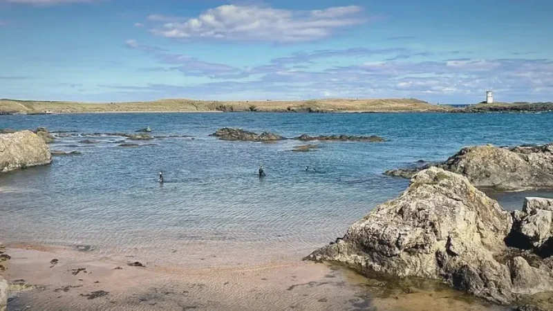12) Elie Beach(5)