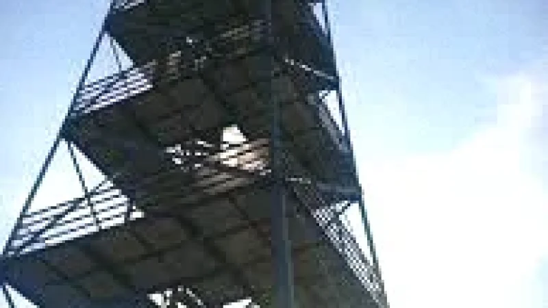12 Eschenberg Tower(4)