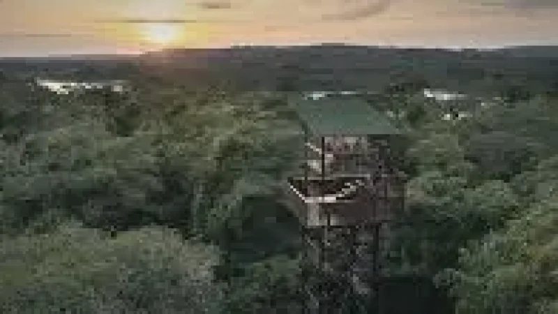 12 Forest Canopy Views – Elevated lookouts(4)