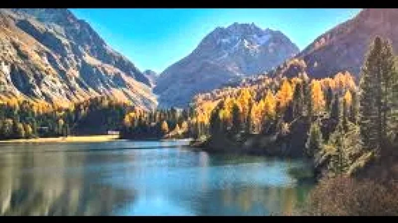 12 Forest Walking Paths(2)