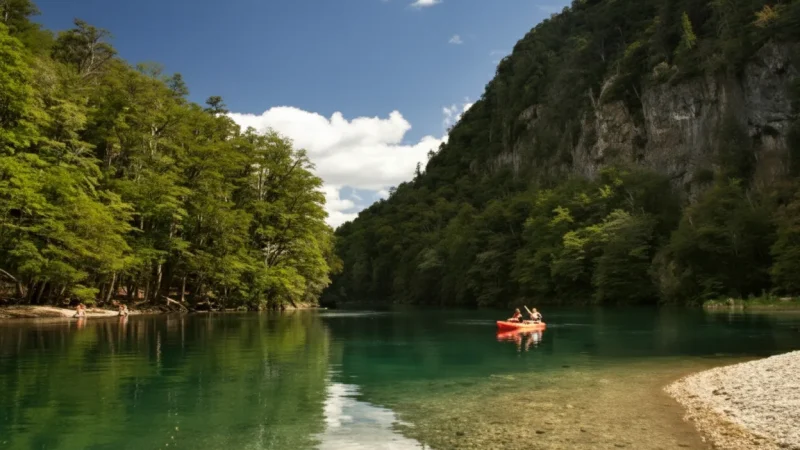 12 Forested Hills – Nature surroundings(5)